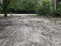 15938 Lake Magdalene Boulevard, Tampa, FL 33613 - #2