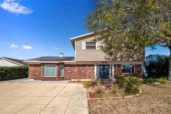 8461 Flagstone Drive, TAMPA, FL 33615