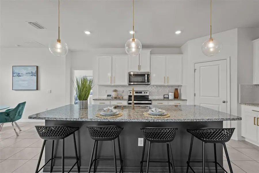 32326 Conchshell Sail Street, Wesley Chapel, FL 33545 - #3