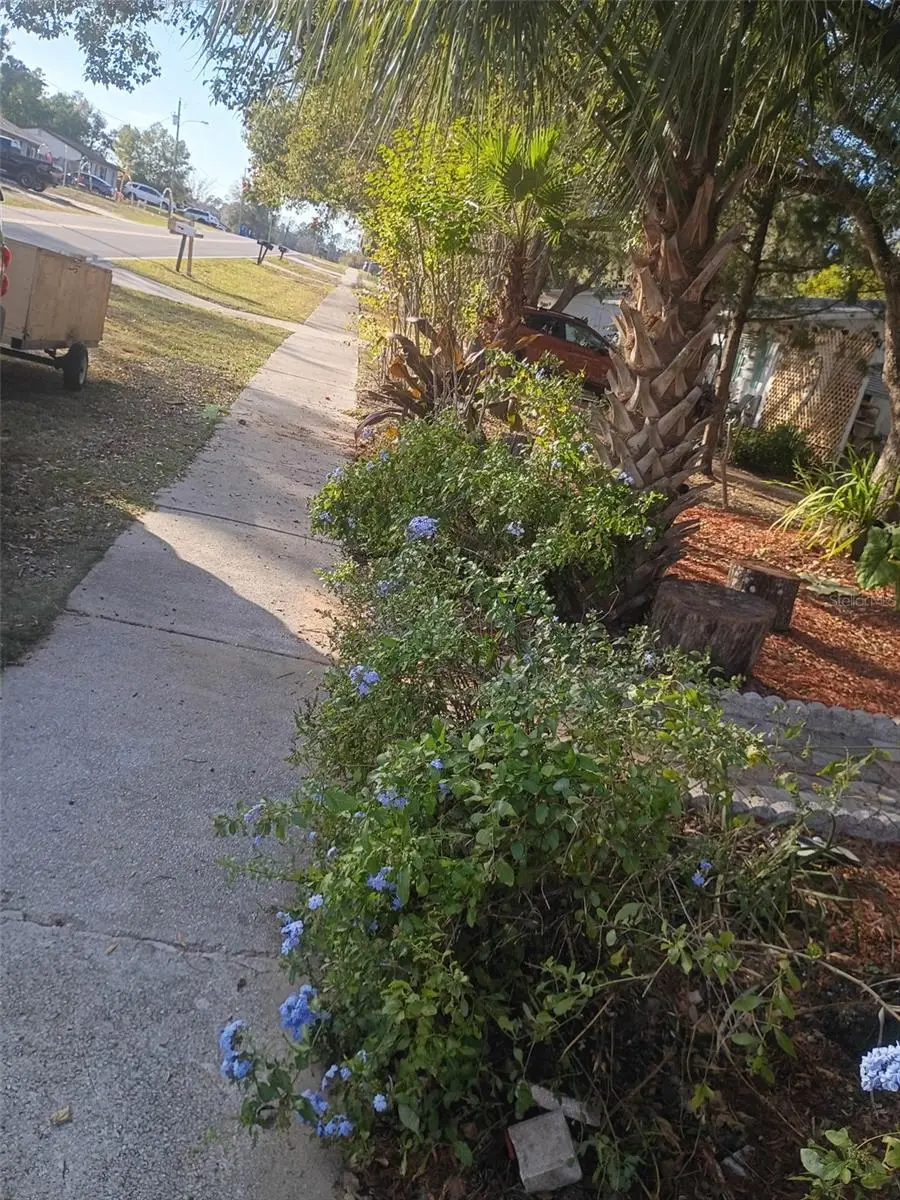 27043 Roper Road, Brooksville, FL 34602 - #3