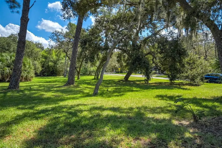 Sage Road, Palm Harbor, FL 34683 - #3