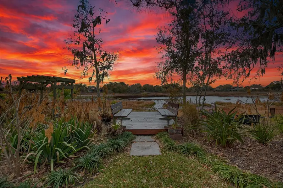 19902 Dolores Ann Court, Lutz, FL 33549 - #2