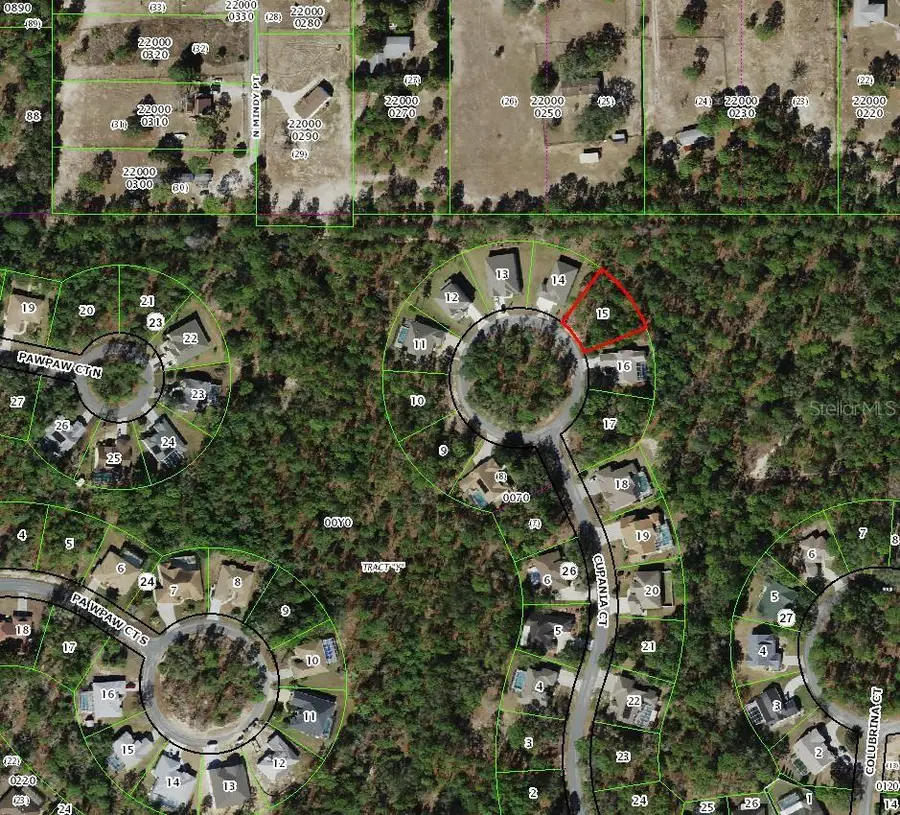21 Cupania Court, Homosassa, FL 34446 - #2