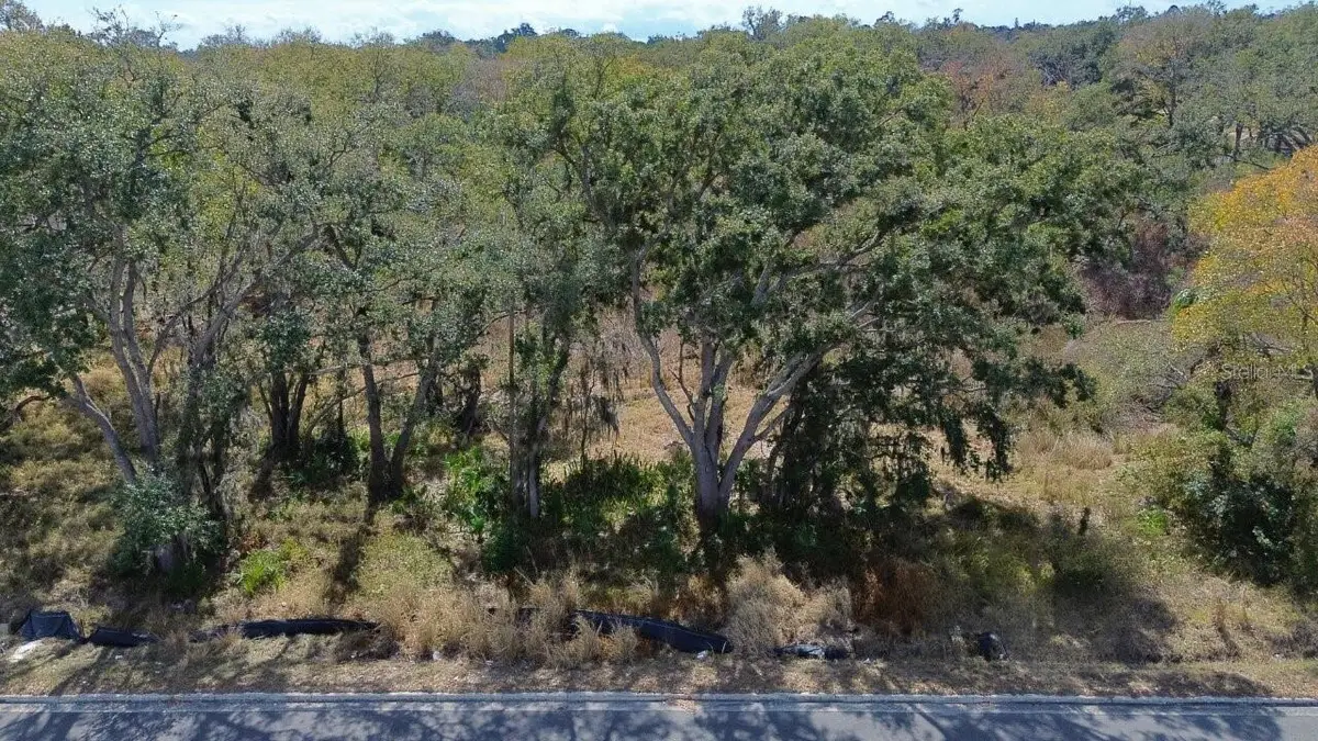 Diana Street, Tampa, FL 33610 - #1