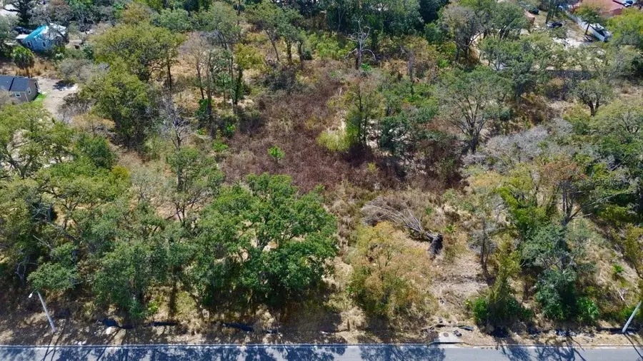 Diana Street, Tampa, FL 33610 - #2