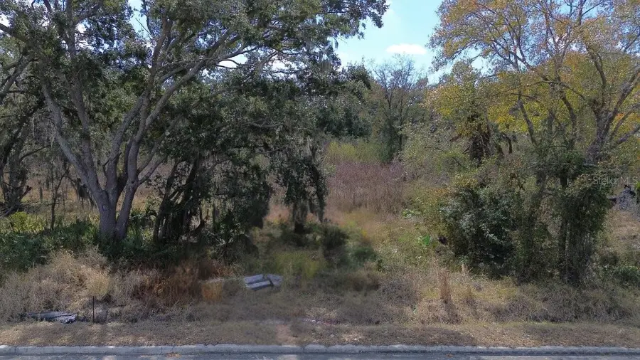 Diana Street, Tampa, FL 33610 - #3