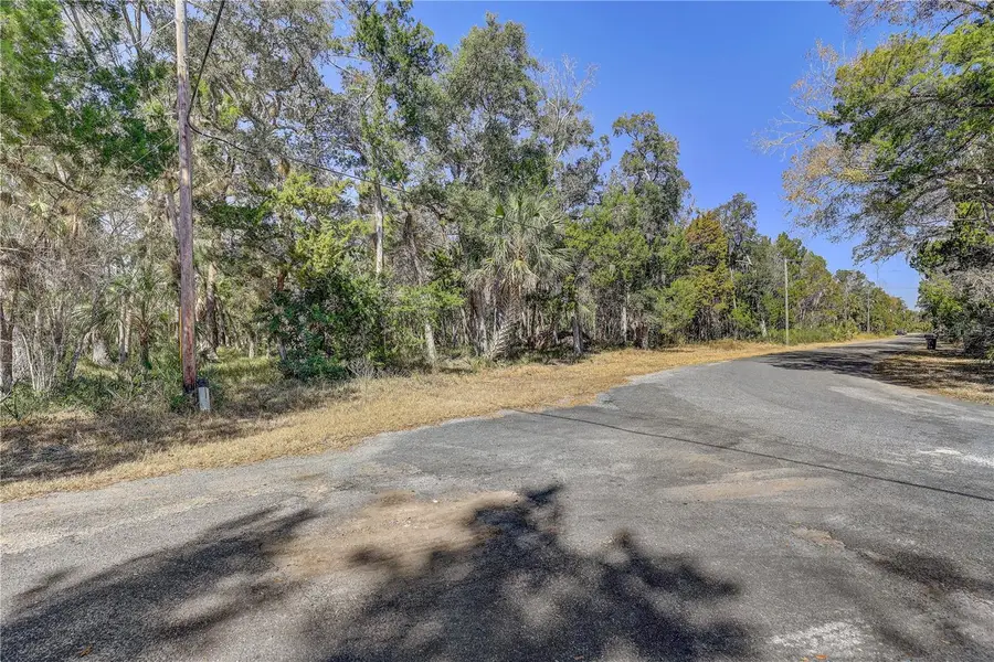 6392 S Westview Drive, Homosassa, FL 34448 - #2