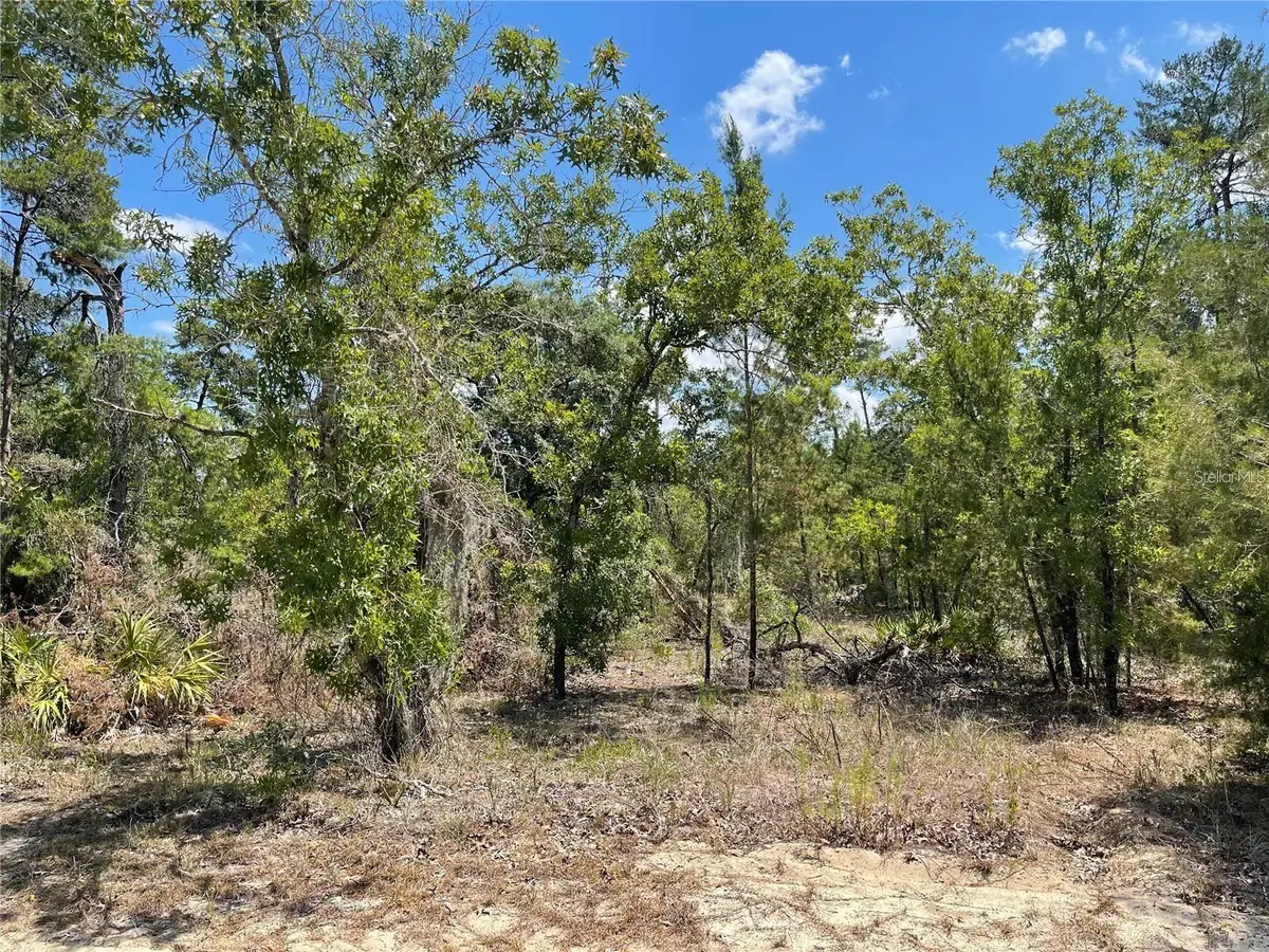 47 Lone Pine Street, Homosassa, FL 34446 - #1