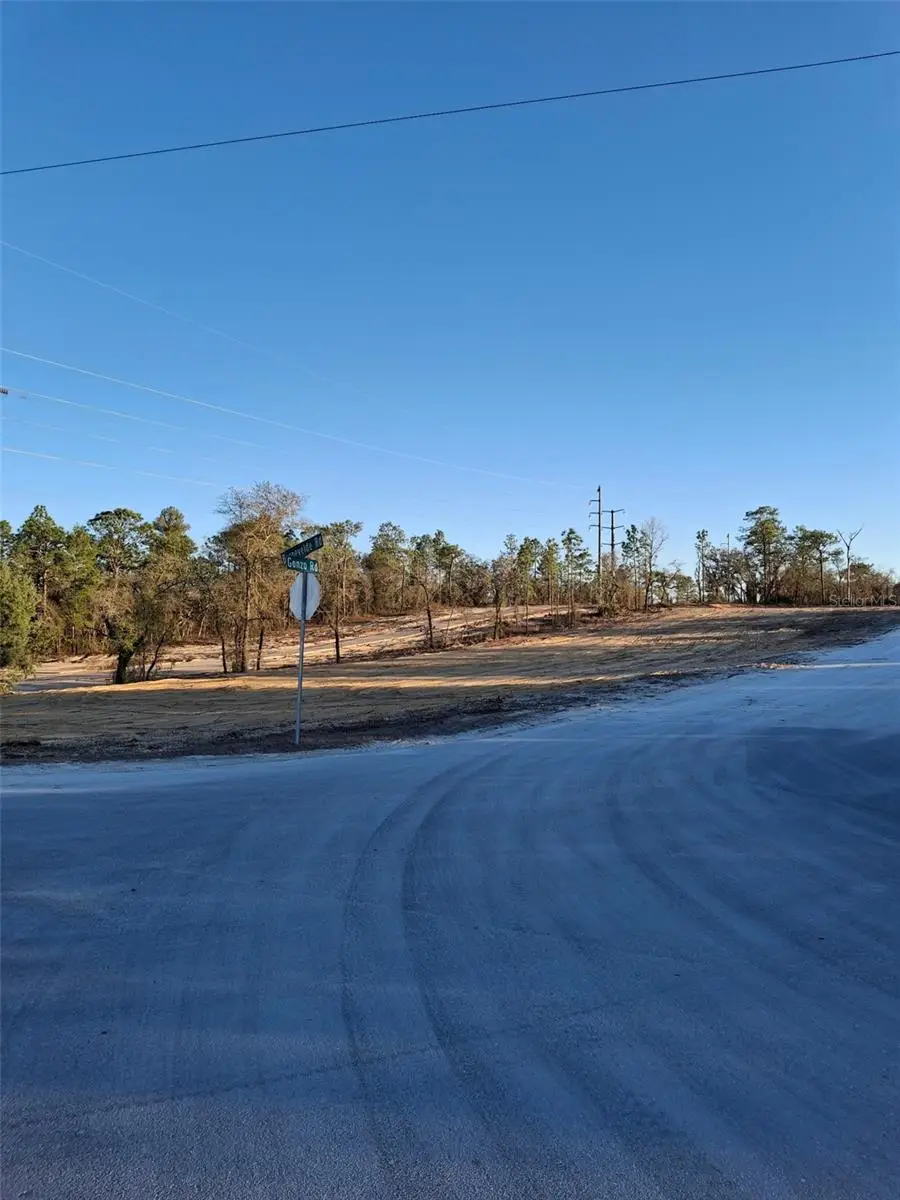 LOT 1 Barnevelde Road, Weeki Wachee, FL 34614 - #1