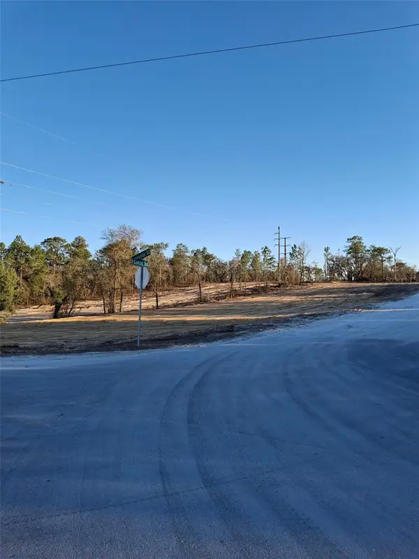 LOT 1 Barnevelde Road, WEEKI WACHEE, FL 34614