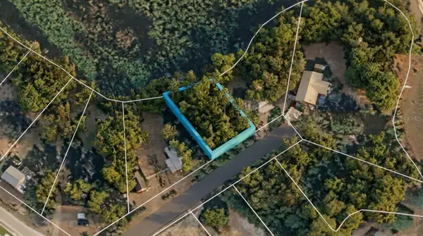 Morning View Drive, PAISLEY, FL 32767