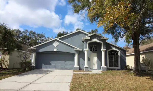 9347 Hidden Water Circle, RIVERVIEW, FL 33578