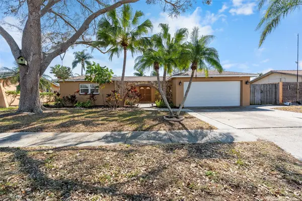 12114 Rhonda Terrace, SEMINOLE, FL 33772