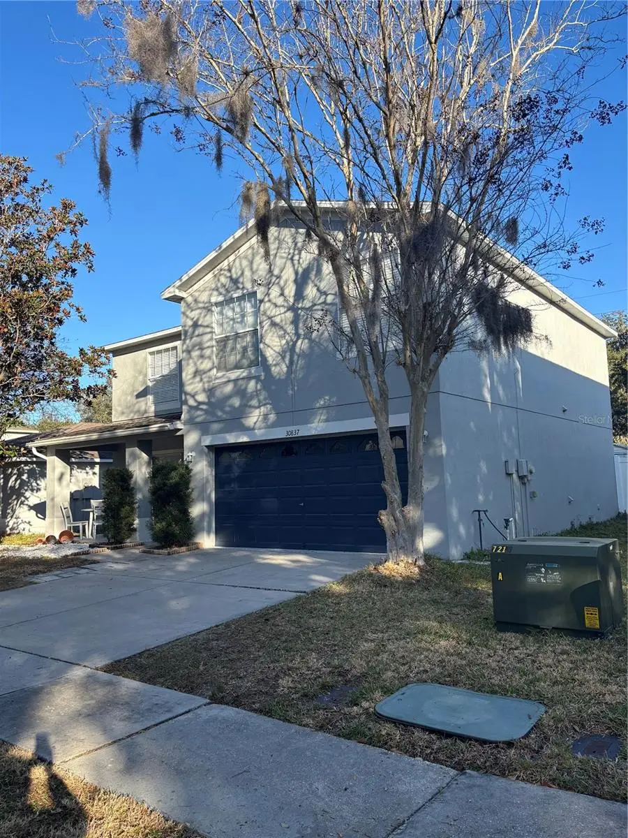 30837 Temple Stand Avenue, Wesley Chapel, FL 33543 - #3