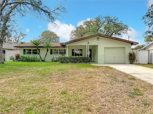 11328 N Oakleaf Avenue, TAMPA, FL 33612