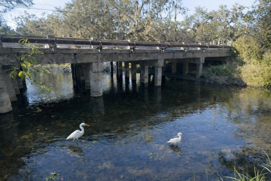 8312 18th Avenue E, Palmetto, FL 34221 - #2