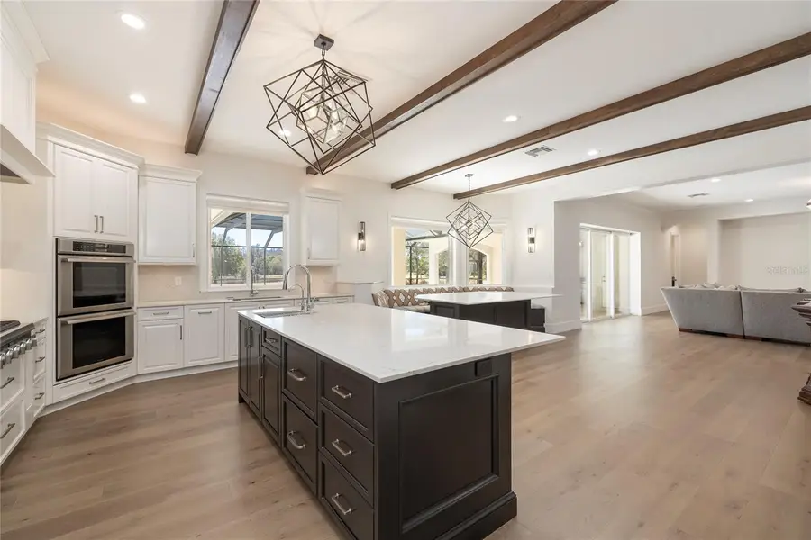 17253 Breeders Cup Drive, Odessa, FL 33556 - #2