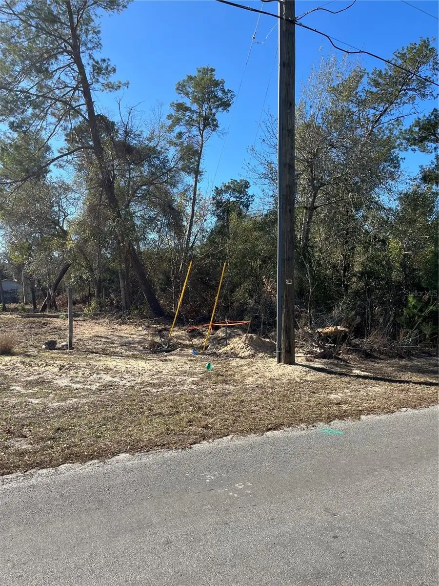 0 Pitcairn Street, Brooksville, FL 34613 - #3