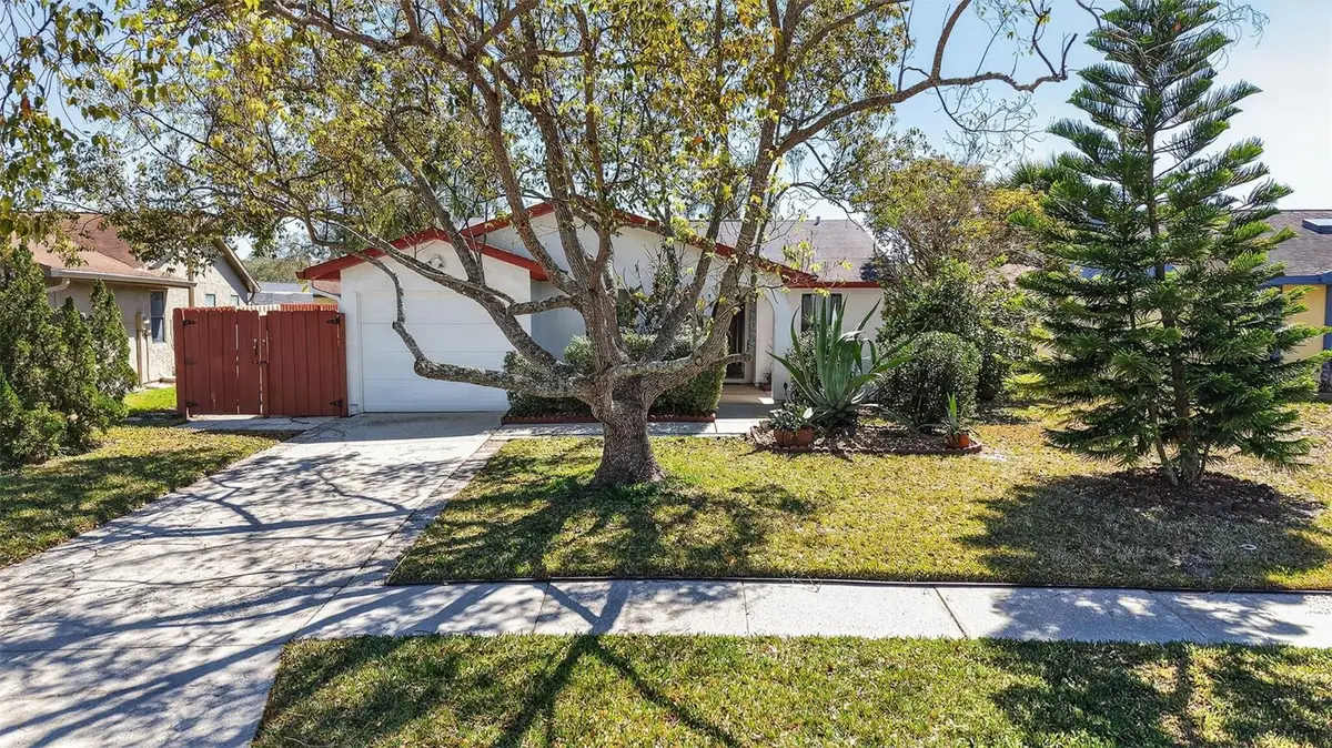 215 Lake Charles Court, Oldsmar, FL 34677 - #1