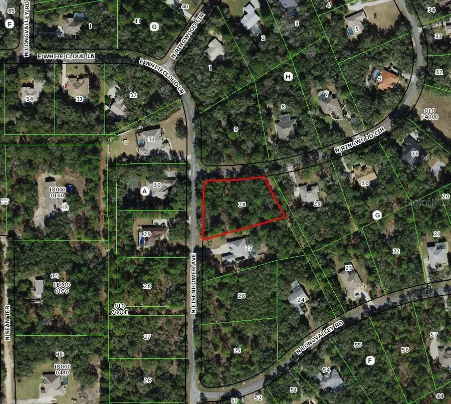 4001 N Ringwood Circle, Hernando, FL 34442 - #2