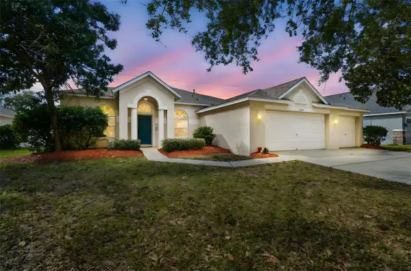 2706 Valencia Grove Drive, VALRICO, FL 33596