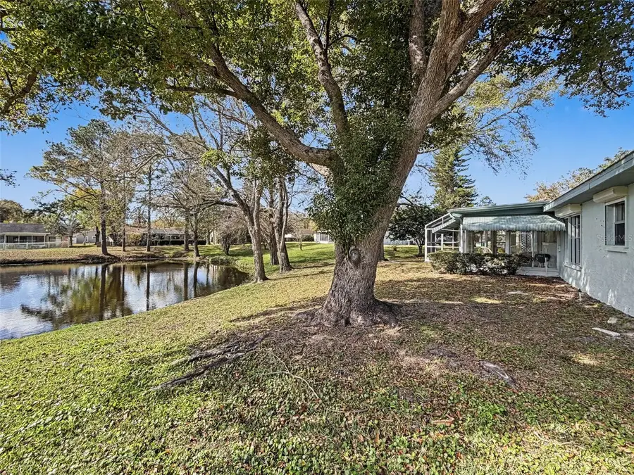 1446 Queen Anne Boulevard, Palm Harbor, FL 34684 - #3