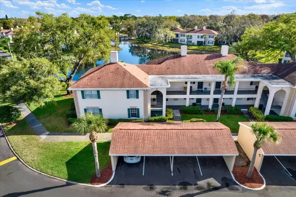 10330 Carrollwood Lane #95, TAMPA, FL 33618