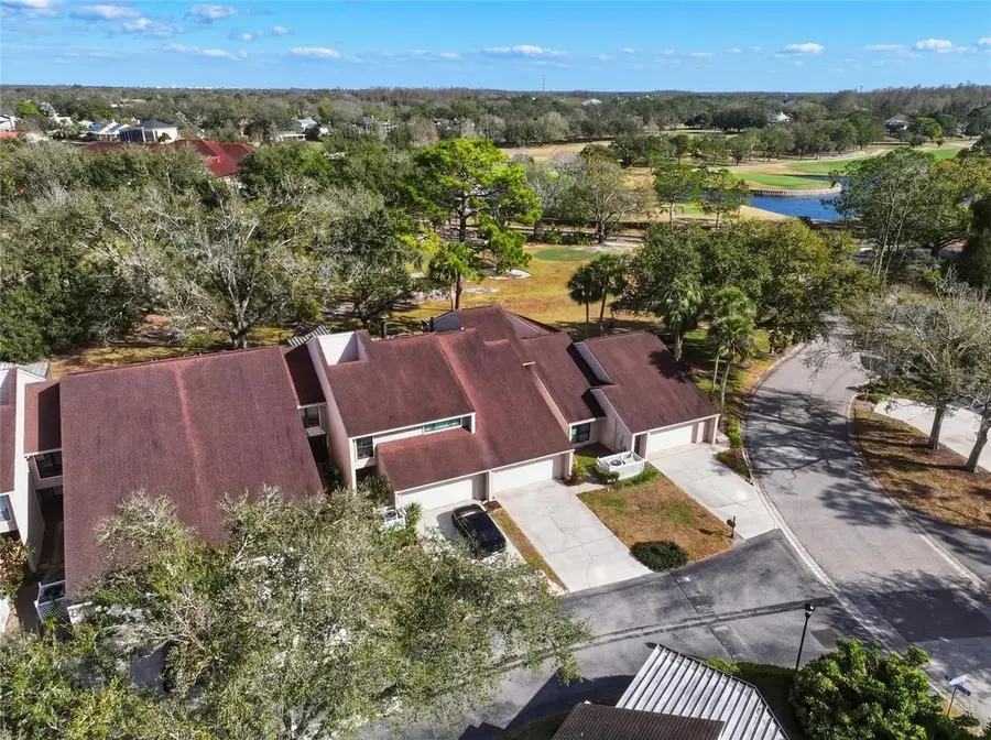 4203 Hartwood Lane, Tampa, FL 33618 - #3