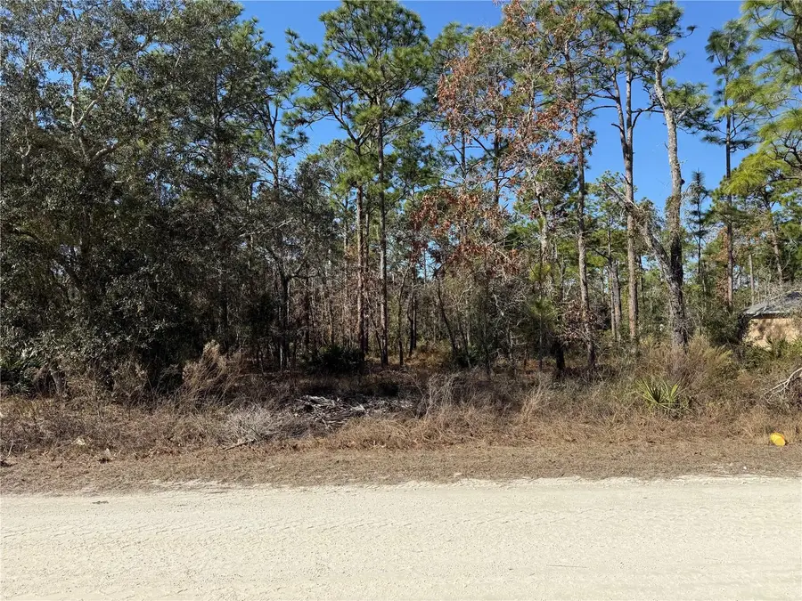 0 Macassar Road, Weeki Wachee, FL 34614 - #3