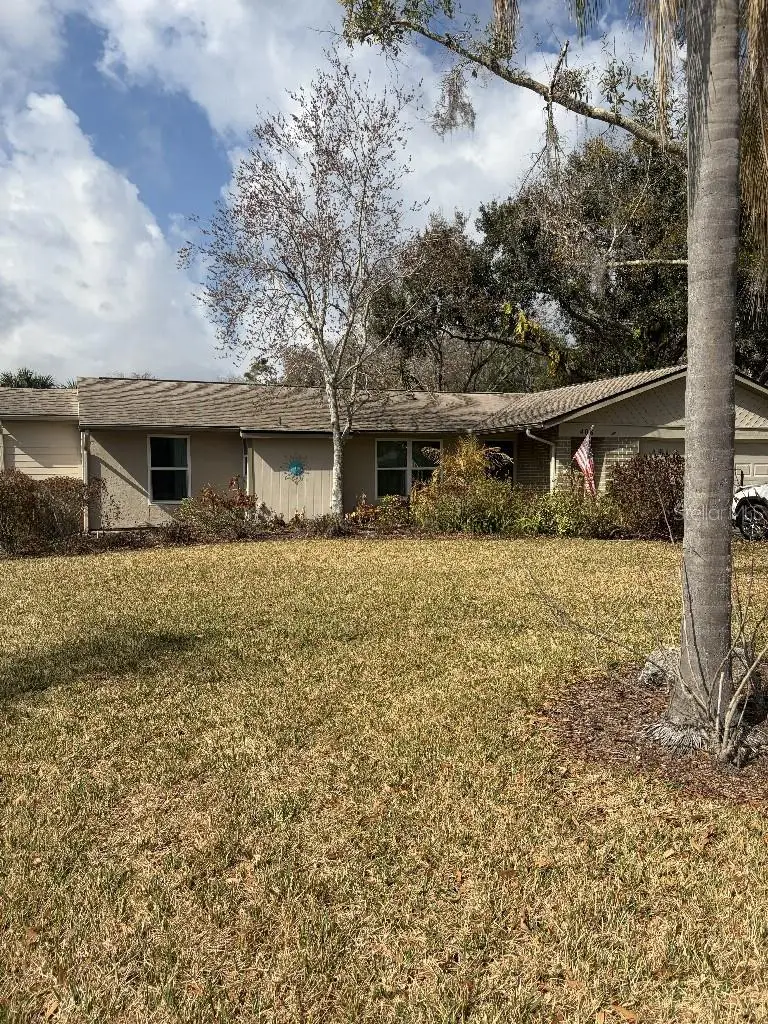 408 Lakeview Drive, Oldsmar, FL 34677 - #1