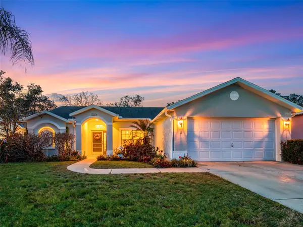 14419 Pimberton Drive, HUDSON, FL 34667