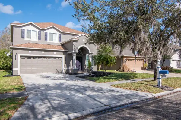 19159 Cypress Green Drive, LUTZ, FL 33558