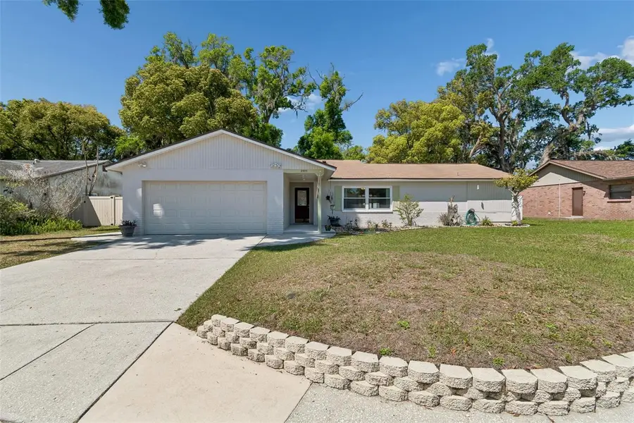 2505 Linden Tree Street, Seffner, FL 33584 - #3