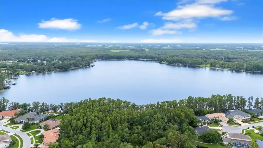 21314 Marsh Hawk Drive, Land O Lakes, FL 34638 - #2