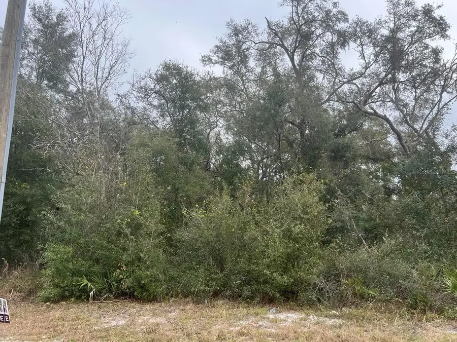 7466 Treiman Boulevard, Webster, FL 33597 - #3