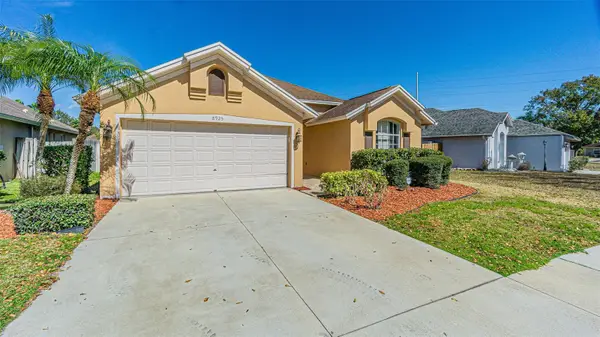 8925 Southbay Drive, TAMPA, FL 33615