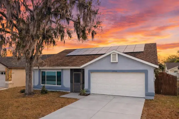 11306 Blackbark Drive, RIVERVIEW, FL 33579