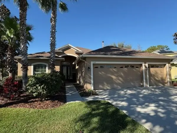 3347 Diamond Falls Circle, LAND O LAKES, FL 34638