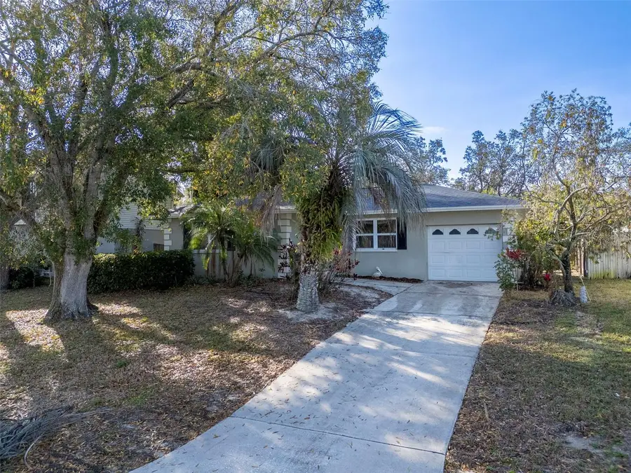 55 Gulfwinds Drive, Palm Harbor, FL 34683 - #2