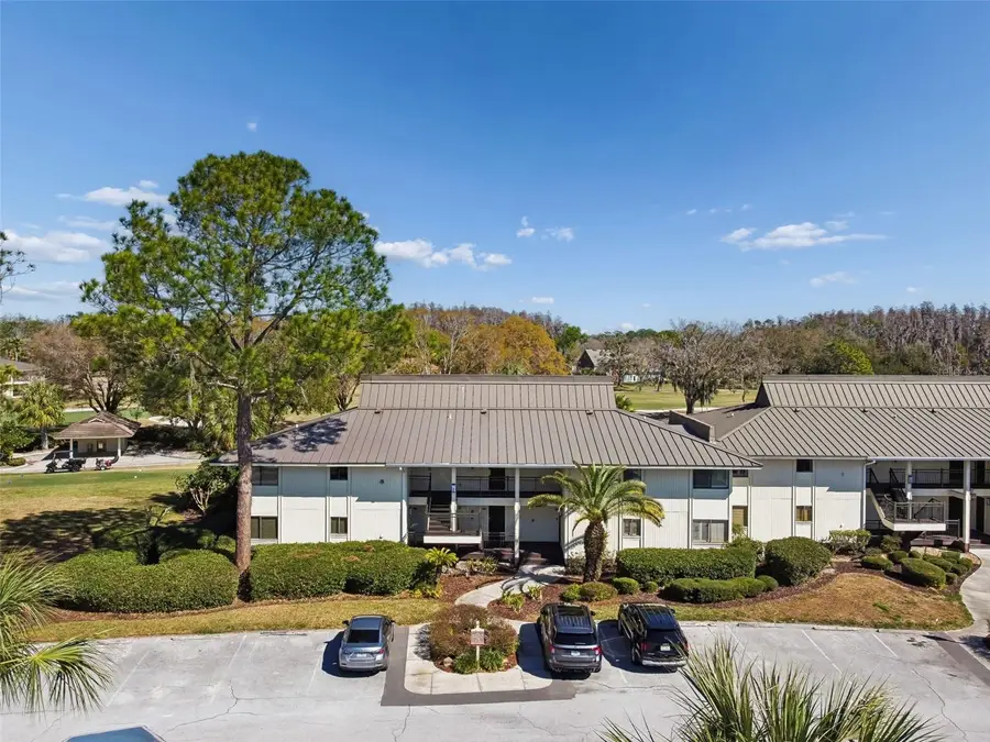 29129 Bay Hollow Drive #3202, Wesley Chapel, FL 33543 - #2