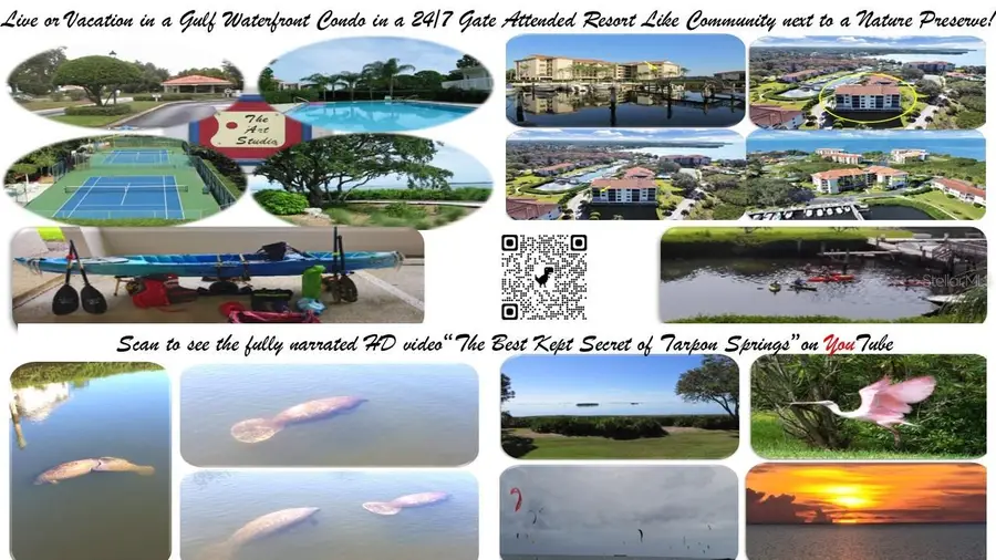 1806 Mariner Drive #318, Tarpon Springs, FL 34689 - #3