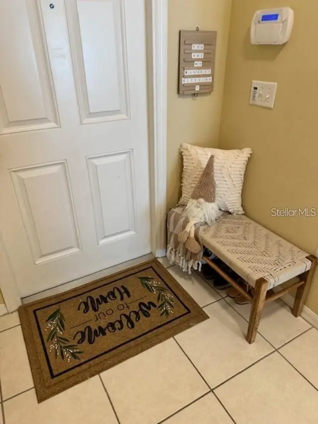 20418 Needletree Drive, Tampa, FL 33647 - #2