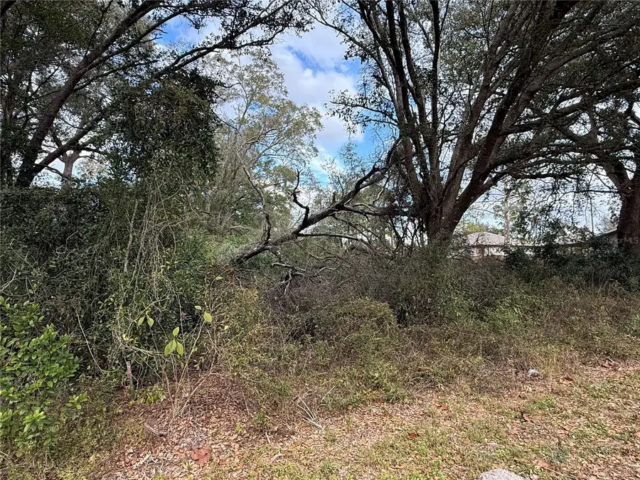 0 Hilda Rd, Dade City, FL 33523 - #3