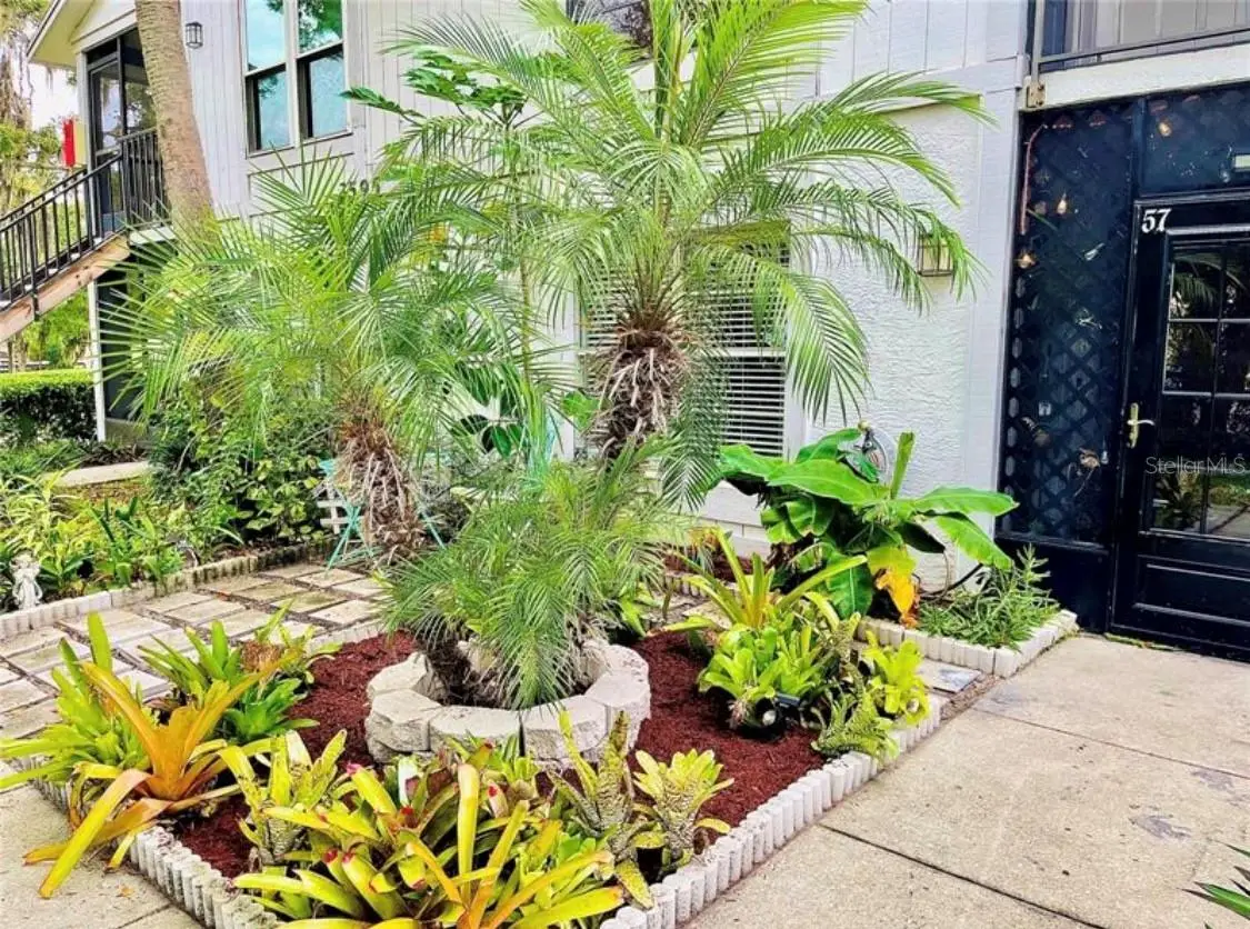 3595 Whispering Oaks Lane #57, Palm Harbor, FL 34684 - #1