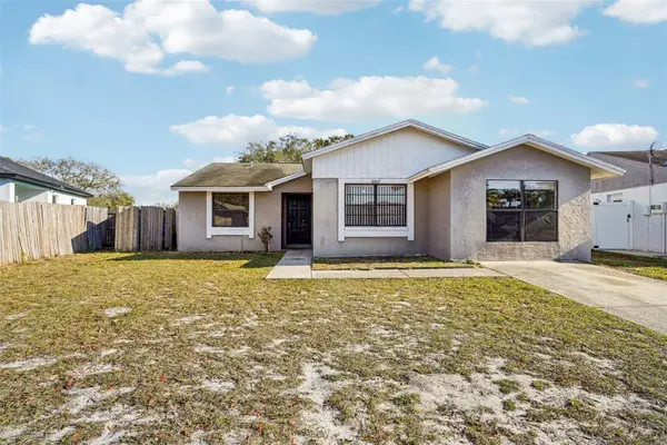 6807 White Cliffs Way, TAMPA, FL 33625