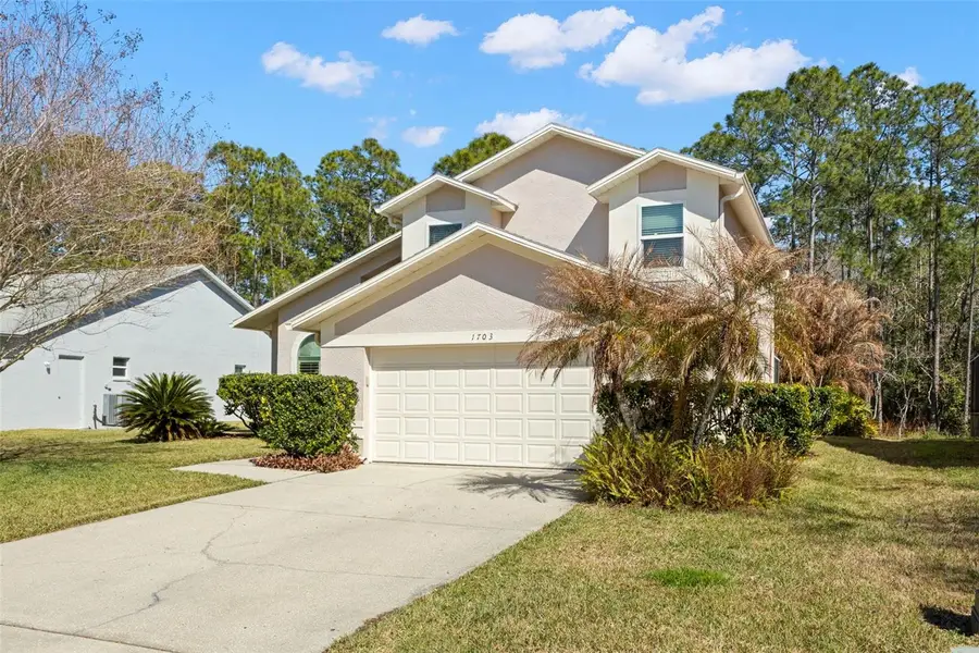 1703 Bayhill Drive, Oldsmar, FL 34677 - #2