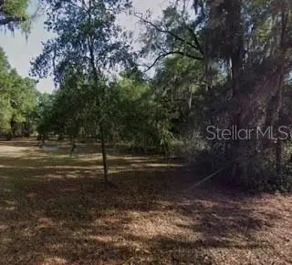 3009 W Laurel Street, Lecanto, FL 34461 - #3