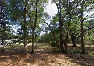 3031 W Laurel Street, Lecanto, FL 34461 - #2