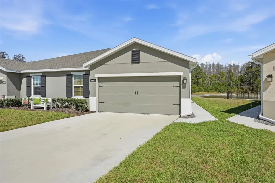 18093 Turning Leaf Circle, Land O Lakes, FL 34638 - #3