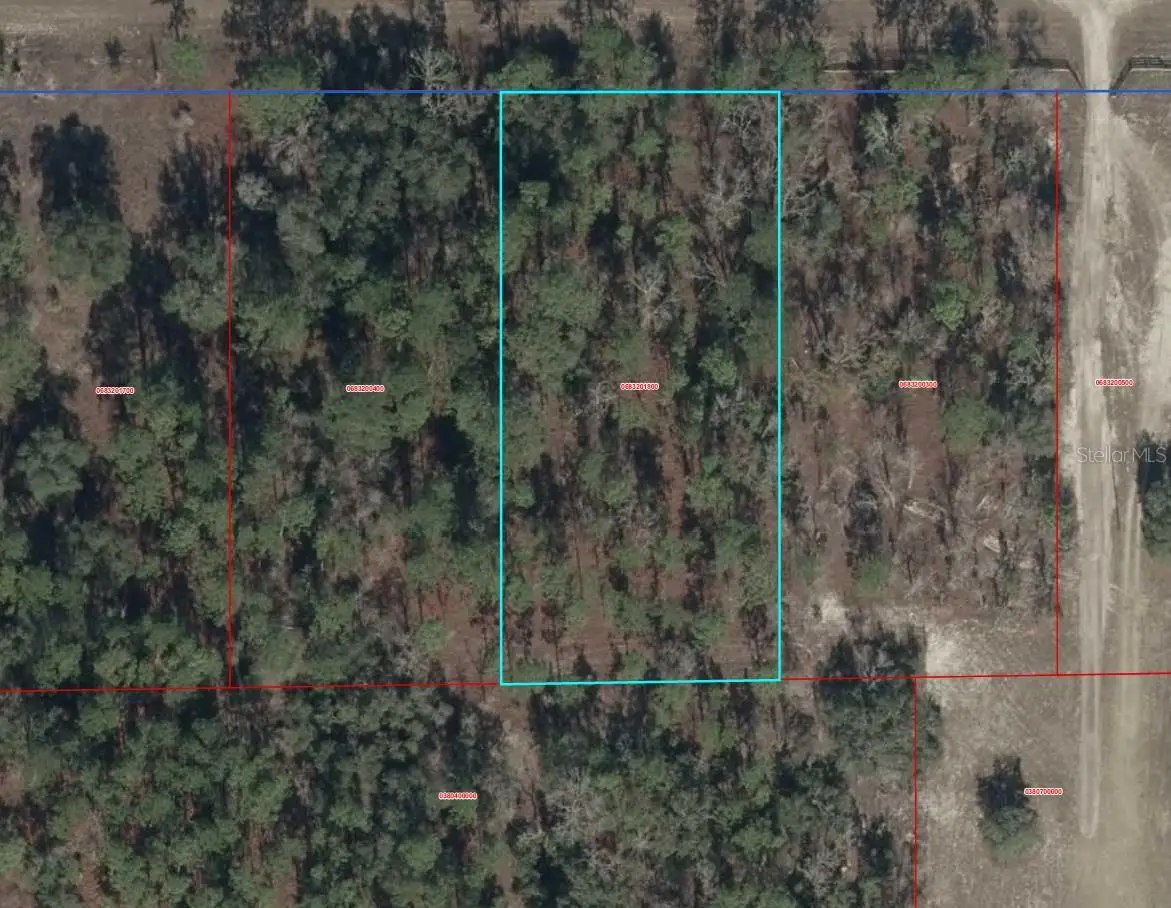 00000 SE 114th Place, Dunnellon, FL 34431 - #1